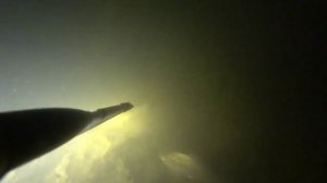 Подводная охота. Трофейный белый амур.