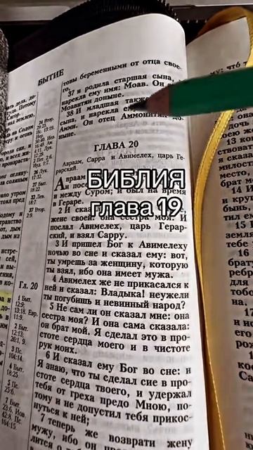Каждый день возносим молитвы 🙏
