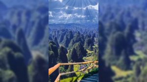 Просто релакс.