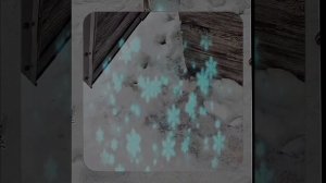 1000056986.mp4 (Собака наблюдает за устройством лестницы на 2-ой этаж в доме А-фрейм)