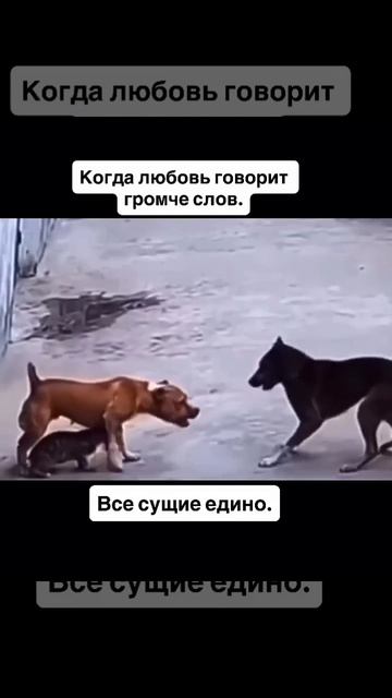 Вот она - Дружба! Подписываемся 😉