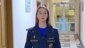 Главное управления МЧС России по Пермскому краю