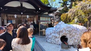 Киото самые красивые улицы города прогулка по традиционной Японии ✨