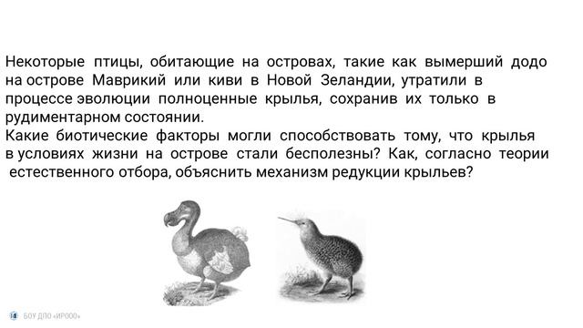 Биология. 26 линия ЕГЭ. Сербина С.Е.