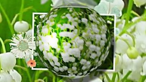 С Днём Рождения 2! Ландышевая Сказка от Киностудии Мудрого Кота Тимофея!!!