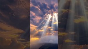 Елена Величко - Жизнь скажи что ты жестока »