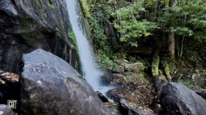 Под крыльями Всевышнего защита и покой на всю ночь. Библия.