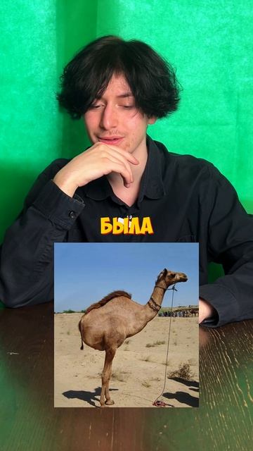 ФОТОШОП VS  РЕАЛЬНОСТЬ!