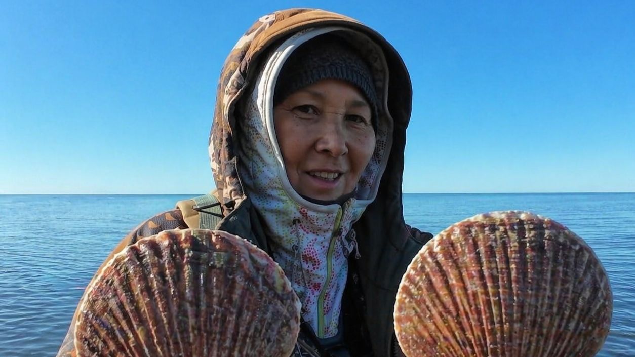 Удачный поход на море. Собираю гребешок..