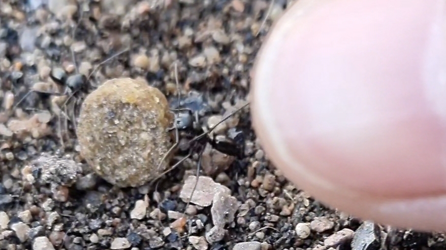 Восхищаюсь этими ребятами. 👋😁👍