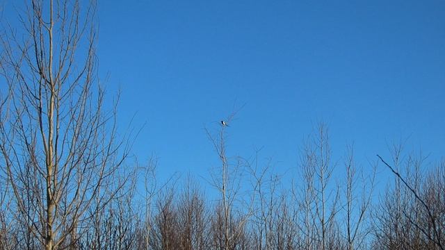 Кадры дня 10 апреля 2026 / Ижора. Межстоличье.