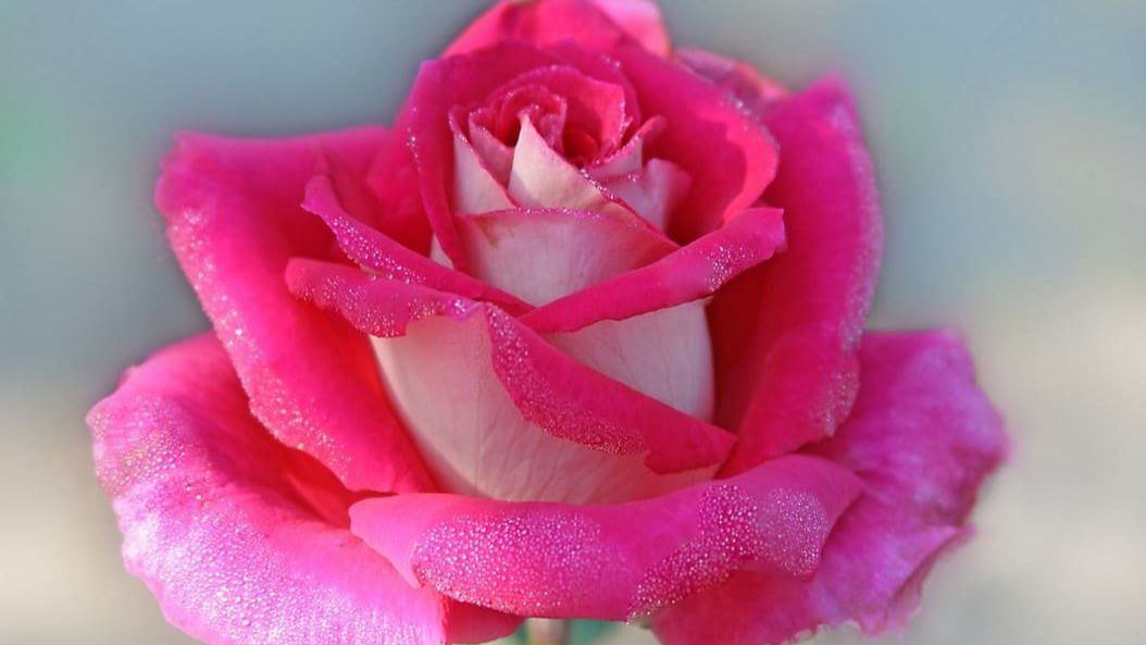 TS4_x64 2026-01-19 16-15-10-596