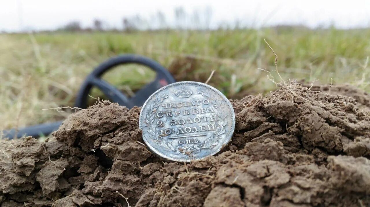 Коп на природе.#965