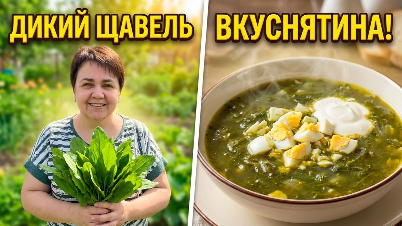 Приготовила борщ с щавелем