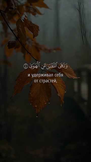 Насыр Аль-Катами. Сура 79 Ан-Назиат 34-46