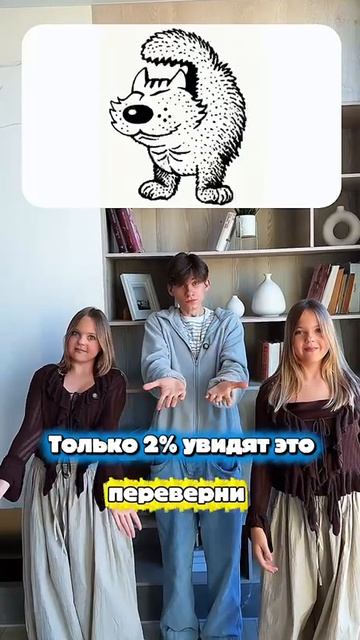 А что увидели вы?