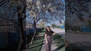 новая цыганская песня — Любовь Христа 🤲🙏🙏🙏❤️❤️❤️❤️