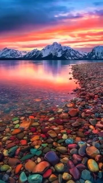 MOV_20260424_134738_848.mp4