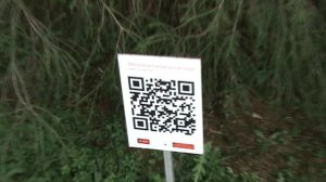 153)з ДЕНДАРИ ПАРК СОЧИ