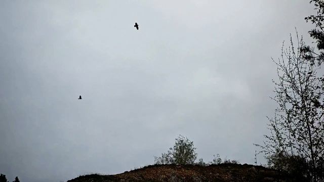 Царев Курган 22 апреля