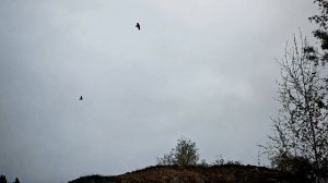 Царев Курган 22 апреля