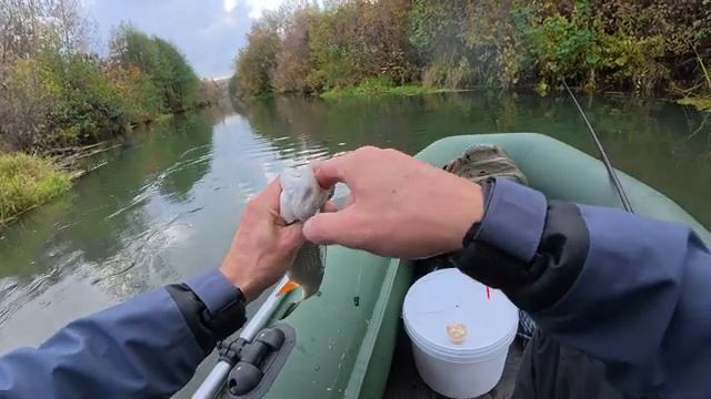 Ловля крупной плотвы на поплавок. Рыбалка осенью на удочку.