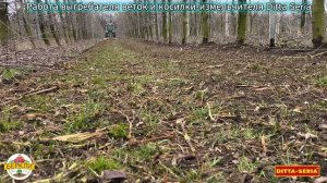 Работа выгребателя веток и косилки-измельчителя САД