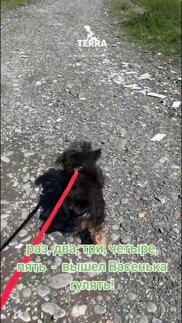 первая прогулка Васи
