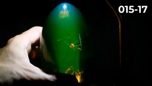 Работа на токарном станке по дереву Светильник из дерева своими руками Токарка по дереву Обучение