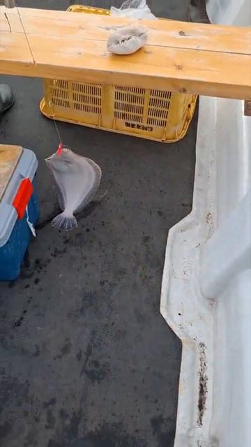 Открытие сезона рыбалки на Итурупе