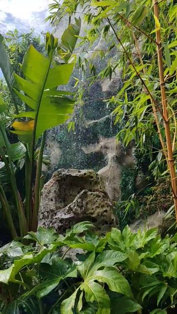 Мир прекрасен. Фестиваль культуры Вьетнама. Москва 2025.