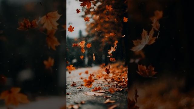 Знал бы прикуп.