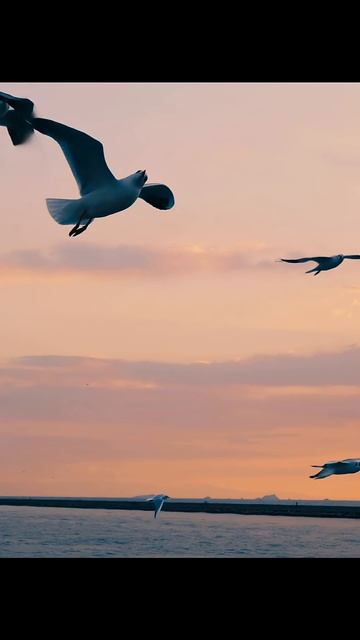 Новое видео Lx24 - Ода (уже на канале)