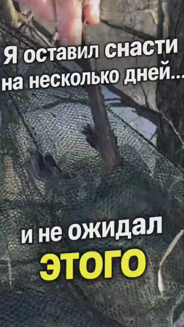 Я оставил снасти на несколько дней... и не ожидал ЭТОГО