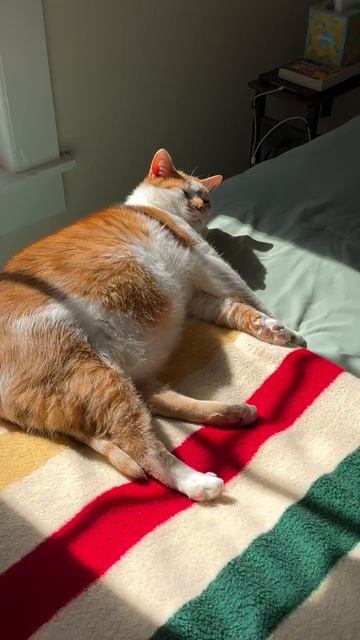 video_2026-03-03_10-07-25