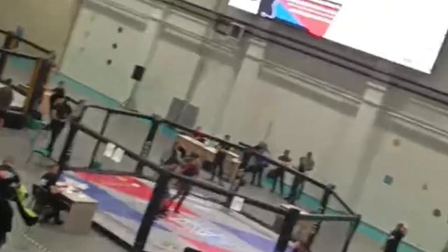 Кубок Александра Невского Андрей Подгорнов