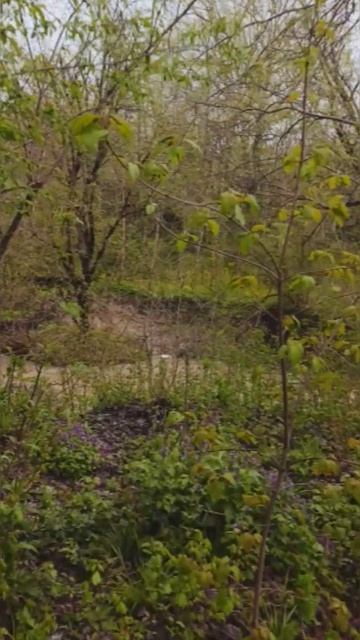 Возле речки.