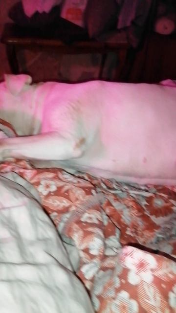 Как я устала от этого стиля лофт и конкретный ремонт