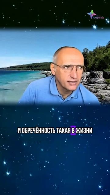 🍔 Когда человек ест мясо. Торсунов О. Г.