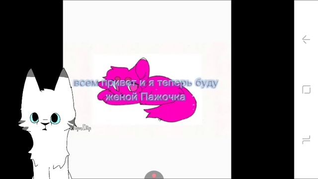 реакция на милашку сралапку !!!