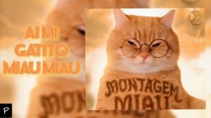 песня мя мяу