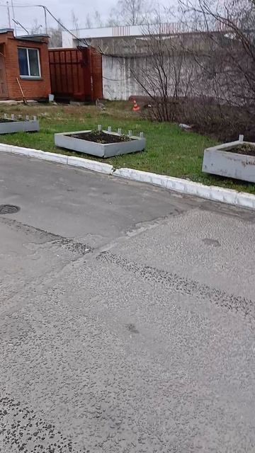 Заяц в городе!