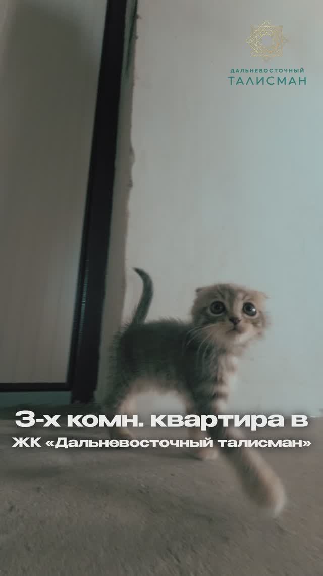 3-комнатная квартира в ЖК 