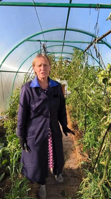 Огурцы в бочке