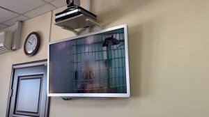 Елизовчанка получила срок, но отстояла личные фото