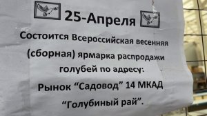 25.04.2026г Завтра на Садоводе Состоится Ярмарка Голубей!!!
