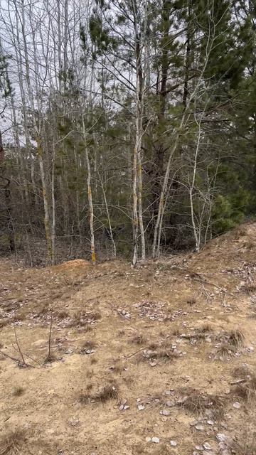 Песочный котлован. #песок #котлован #яма