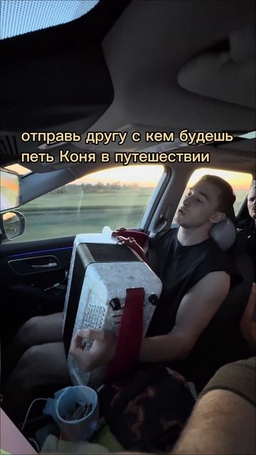 ВНИМАНИЕ: душевно баянистаюша баян путешествиенамашине