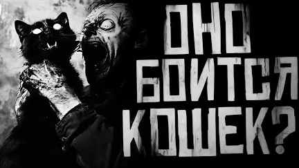 ОНО БОИТСЯ КОШЕК.. Страшные истории на ночь.