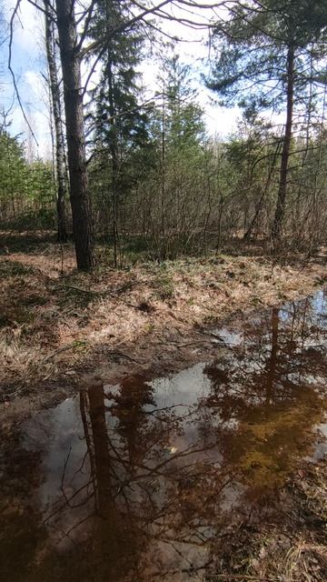 24 Апреля 2026